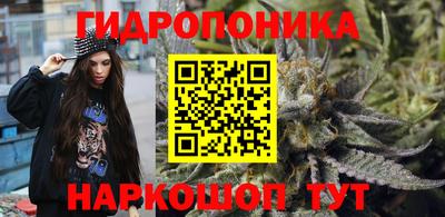 круглые Кингисепп