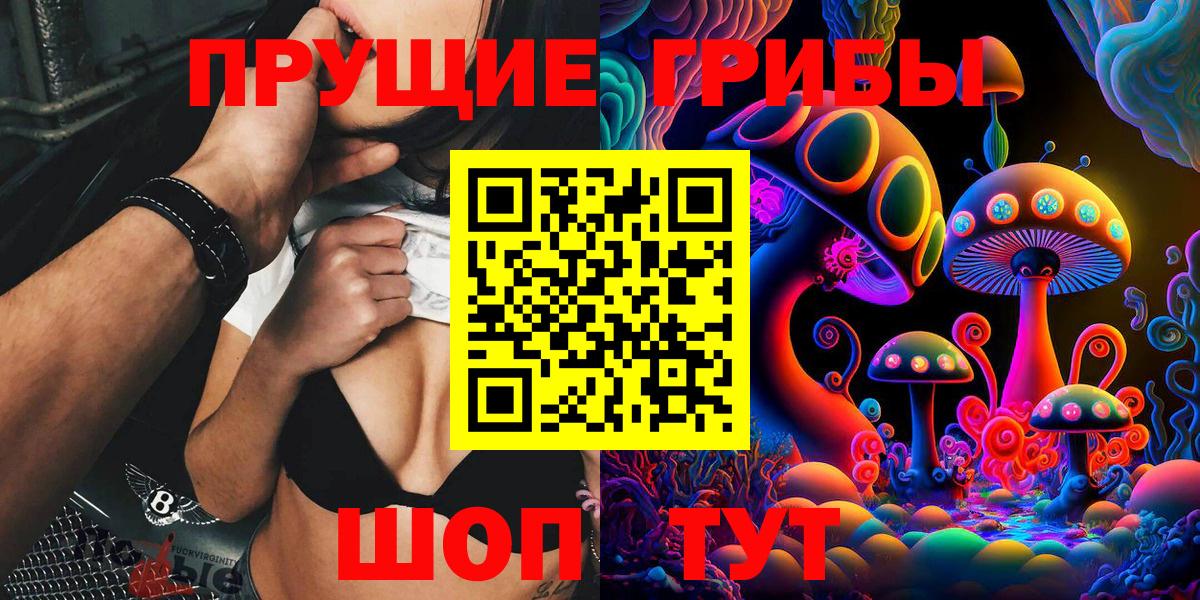 Галлюциногенные грибы Psilocybe Куйбышев